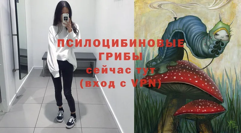 Псилоцибиновые грибы Psilocybe  Отрадное 