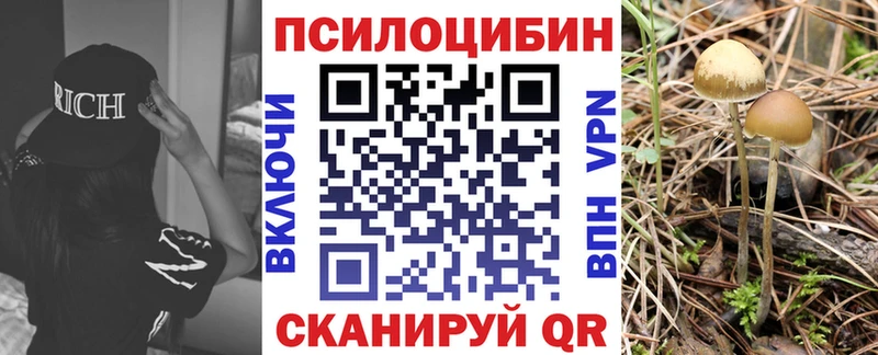 Псилоцибиновые грибы мицелий  купить  цена  Отрадное 