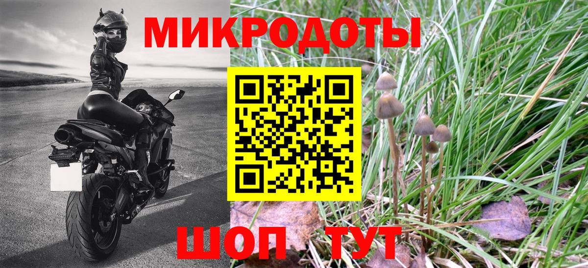Псилоцибиновые грибы MAGIC MUSHROOMS Отрадное